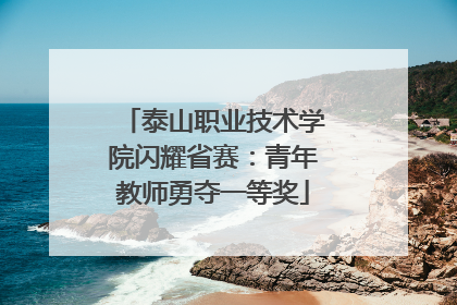 泰山职业技术学院闪耀省赛：青年教师勇夺一等奖
