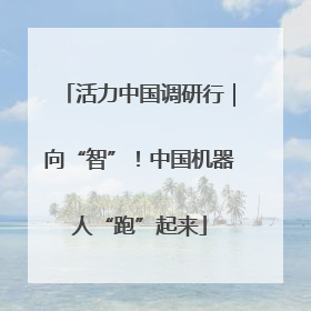 活力中国调研行｜向“智”！中国机器人“跑”起来