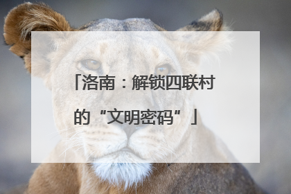 洛南：解锁四联村的“文明密码”