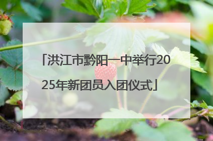 洪江市黔阳一中举行2025年新团员入团仪式
