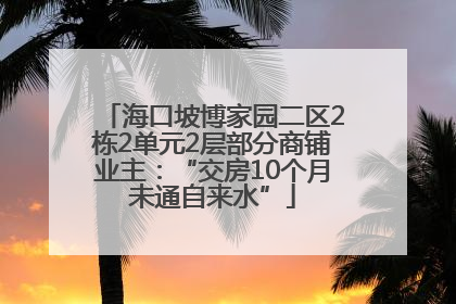 海口坡博家园二区2栋2单元2层部分商铺业主：“交房10个月未通自来水”
