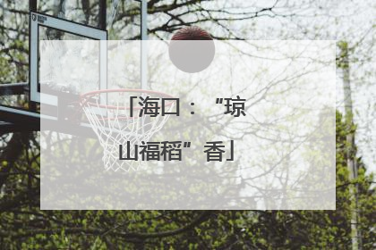 海口：“琼山福稻”香