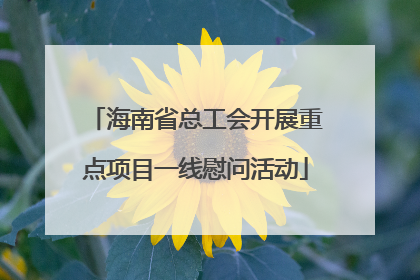 海南省总工会开展重点项目一线慰问活动