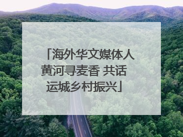海外华文媒体人黄河寻麦香 共话运城乡村振兴