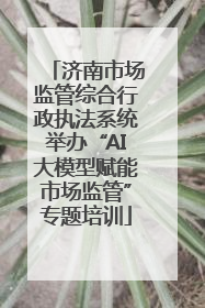 济南市场监管综合行政执法系统举办“AI大模型赋能市场监管”专题培训