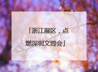 浙江展区，点燃深圳文博会