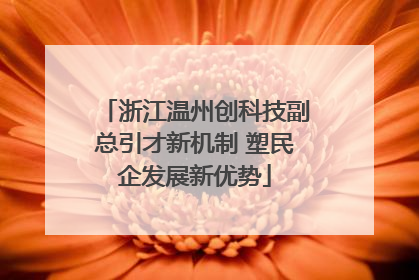 浙江温州创科技副总引才新机制 塑民企发展新优势