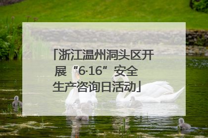 浙江温州洞头区开展“6·16”安全生产咨询日活动