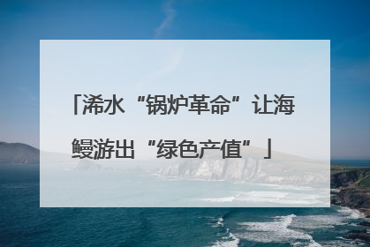 浠水“锅炉革命”让海鳗游出“绿色产值”
