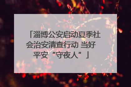 淄博公安启动夏季社会治安清查行动 当好平安“守夜人”