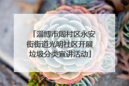 淄博市周村区永安街街道光明社区开展垃圾分类宣讲活动