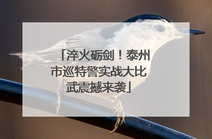 淬火砺剑！泰州市巡特警实战大比武震撼来袭