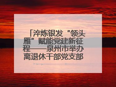 淬炼银发“领头雁”赋能党建新征程——泉州市举办离退休干部党支部书记能力建设专题培训