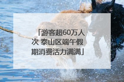 游客超60万人次 泰山区端午假期消费活力满满