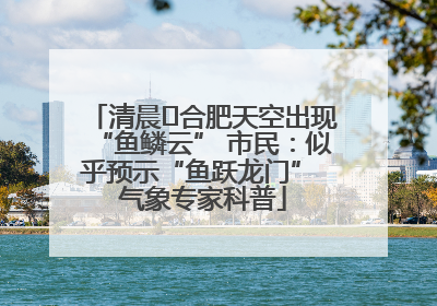 清晨﻿合肥天空出现“鱼鳞云” 市民：似乎预示“鱼跃龙门” 气象专家科普