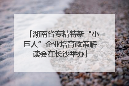 湖南省专精特新“小巨人”企业培育政策解读会在长沙举办