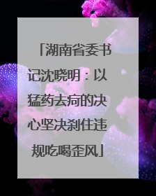 湖南省委书记沈晓明：以猛药去疴的决心坚决刹住违规吃喝歪风