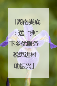 湖南娄底：送“典”下乡优服务 税惠进村助振兴