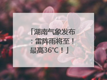湖南气象发布：雷阵雨将至！最高36℃！