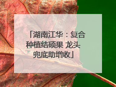 湖南江华：复合种植结硕果 龙头兜底助增收