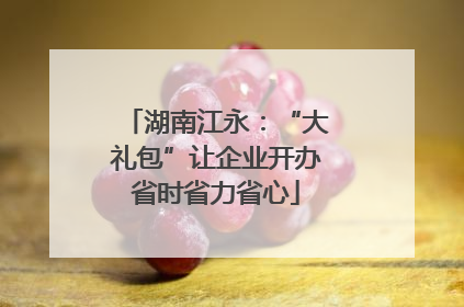 湖南江永：“大礼包”让企业开办省时省力省心