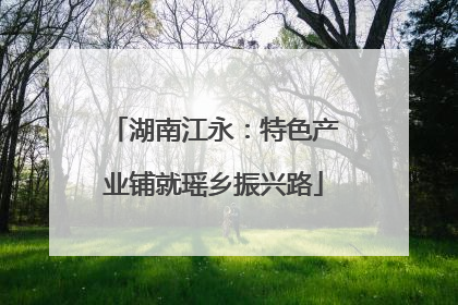 湖南江永：特色产业铺就瑶乡振兴路
