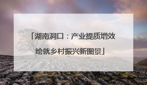 湖南洞口：产业提质增效 绘就乡村振兴新图景