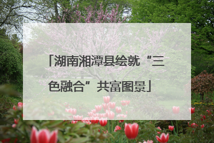湖南湘潭县绘就“三色融合”共富图景