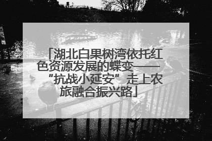 湖北白果树湾依托红色资源发展的蝶变——“抗战小延安”走上农旅融合振兴路