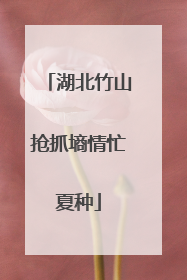 湖北竹山抢抓墒情忙夏种