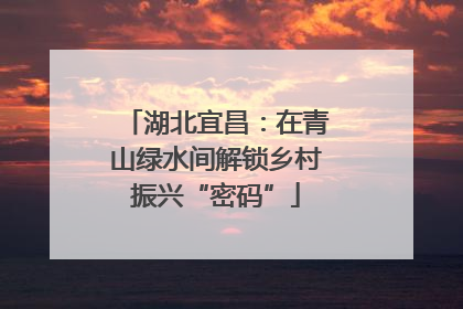 湖北宜昌：在青山绿水间解锁乡村振兴“密码”