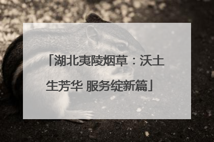 湖北夷陵烟草：沃土生芳华 服务绽新篇