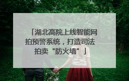 湖北高院上线智能网拍预警系统，打造司法拍卖“防火墙”