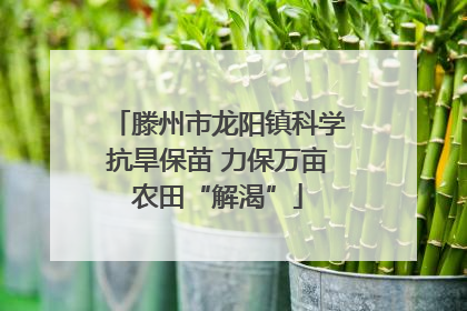 滕州市龙阳镇科学抗旱保苗 力保万亩农田“解渴”