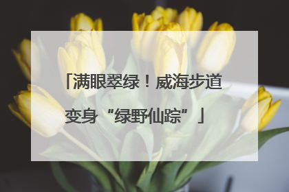满眼翠绿！威海步道变身“绿野仙踪”