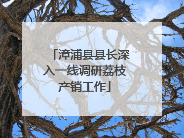 漳浦县县长深入一线调研荔枝产销工作