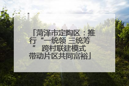 菏泽市定陶区：推行“一统领 三统筹” 跨村联建模式 带动片区共同富裕