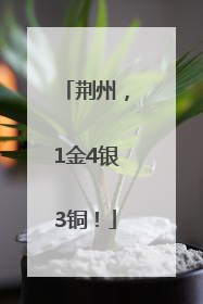 荆州，1金4银3铜！