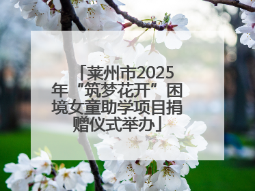 莱州市2025年“筑梦花开”困境女童助学项目捐赠仪式举办