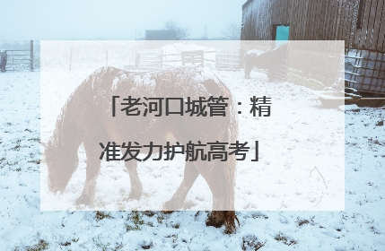 老河口城管：精准发力护航高考