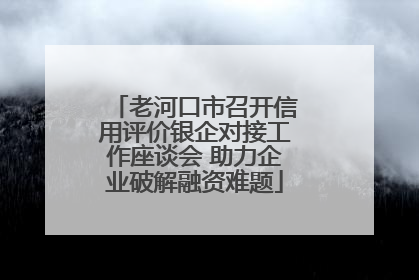 老河口市召开信用评价银企对接工作座谈会 助力企业破解融资难题