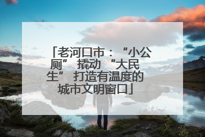 老河口市：“小公厕” 撬动 “大民生” 打造有温度的城市文明窗口
