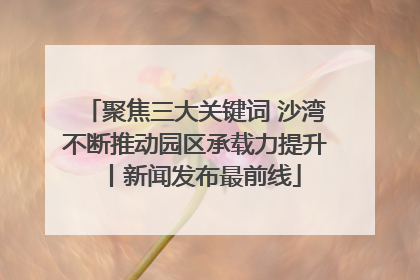 聚焦三大关键词 沙湾不断推动园区承载力提升丨新闻发布最前线