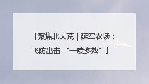 聚焦北大荒｜延军农场：飞防出击 “一喷多效”
