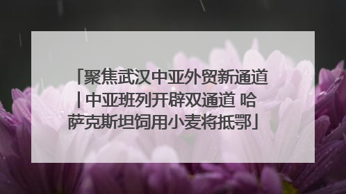 聚焦武汉中亚外贸新通道│中亚班列开辟双通道 哈萨克斯坦饲用小麦将抵鄂