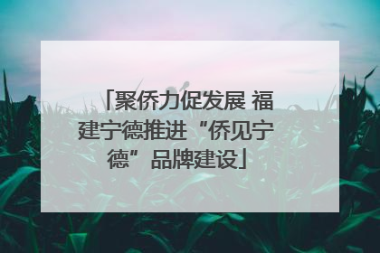 聚侨力促发展 福建宁德推进“侨见宁德”品牌建设