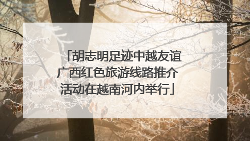 胡志明足迹中越友谊广西红色旅游线路推介活动在越南河内举行