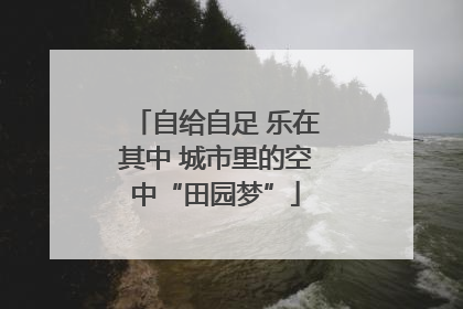 自给自足 乐在其中 城市里的空中“田园梦”