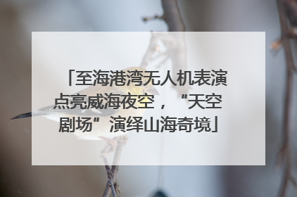 至海港湾无人机表演点亮威海夜空，“天空剧场”演绎山海奇境