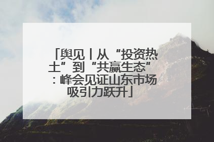 舆见丨从“投资热土”到“共赢生态”：峰会见证山东市场吸引力跃升